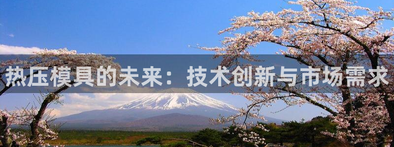 易倍纤酵素效果好吗：热压模具的未来：技术创新与市场需求