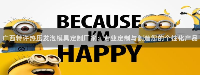 易倍纤价格：广西特许热压发泡模具定制厂家：专业定制与制造