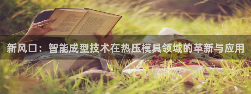 EMC易倍让身份验证：新风口：智能成型技术在热压模具领域