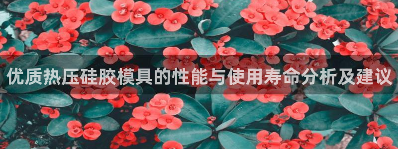 易倍单词app下载：优质热压硅胶模具的性能与使用寿命分析