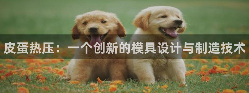 Emc易赔体育