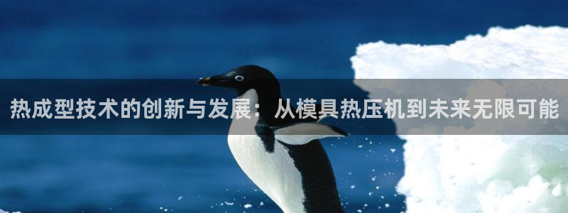 emc全站ag：热成型技术的创新与发展：从模具热压机到未