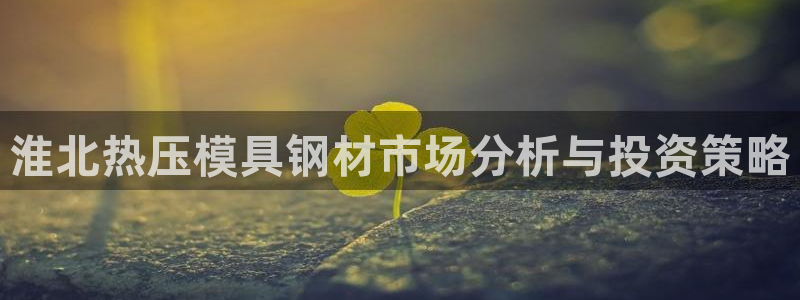 emc易倍官网登录入口：淮北热压模具钢材市场分析与投资策