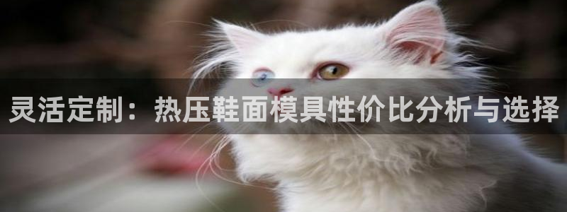 易倍申效果怎么样