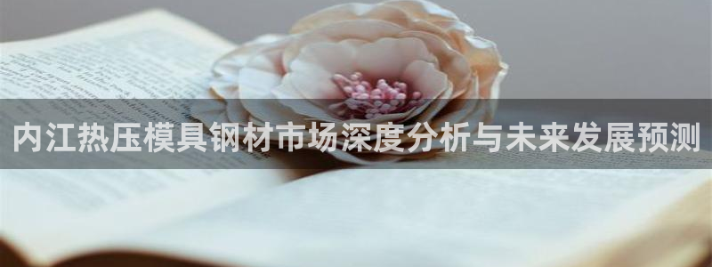 易倍申在中国成功上市：内江热压模具钢材市场深度分析与未来