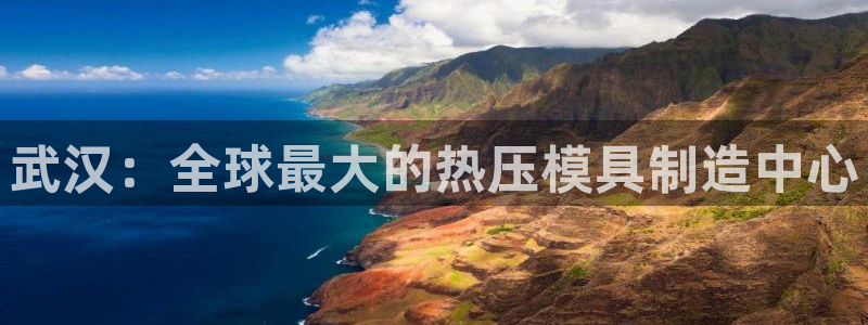 易倍申片的功效与作用：武汉：全球最大的热压模具制造中心