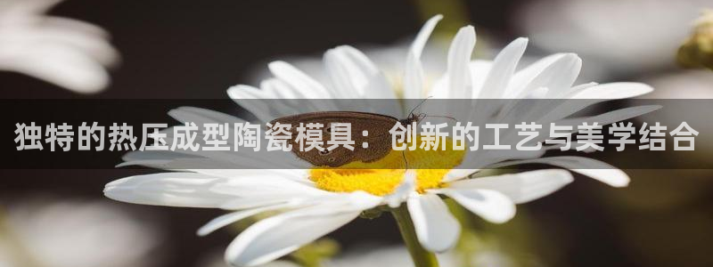 emc32软件安装：独特的热压成型陶瓷模具：创新的工艺与