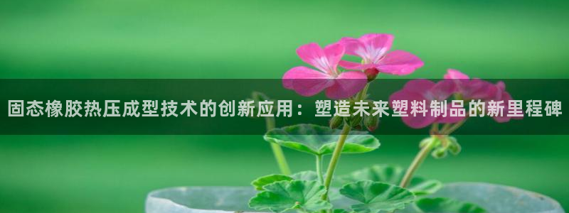EMC易倍官方平台：固态橡胶热压成型技术的创新应用：塑造