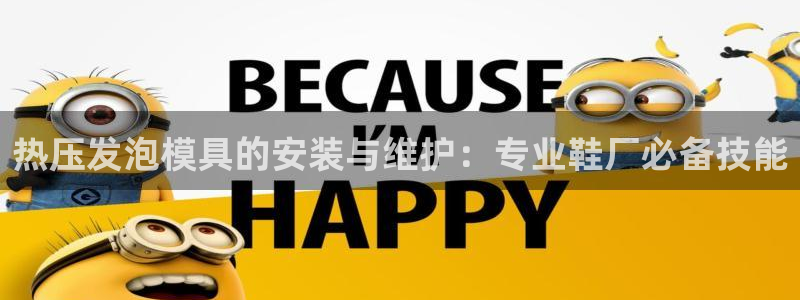 易倍电竞安装教程：热压发泡模具的安装与维护：专业鞋厂必备