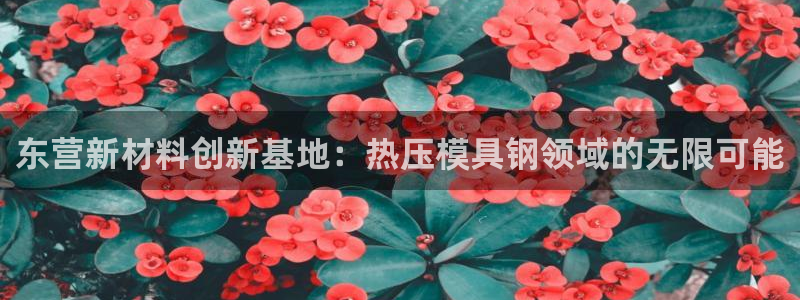 emc低频：东营新材料创新基地：热压模具钢领域的无限可能