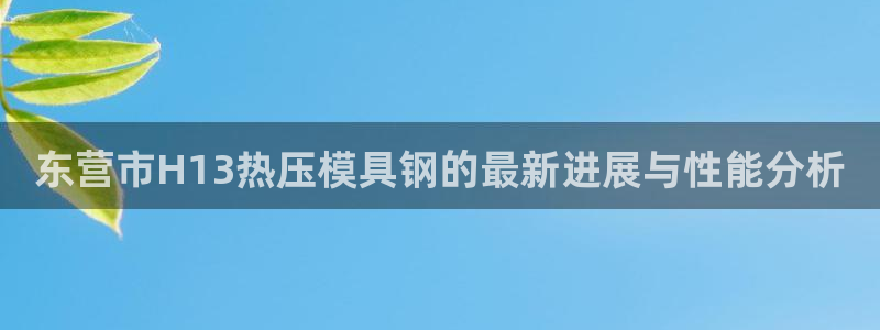 emc易倍官网app:东营市H13热压模具钢的最新进展与