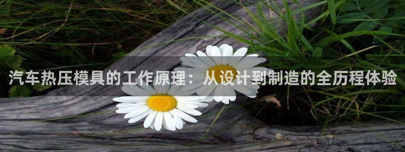易倍企业管理软件怎么样：汽车热压模具的工作原理：从设计到