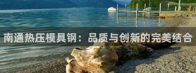 易倍申医保报销：南通热压模具钢：品质与创新的完美结合