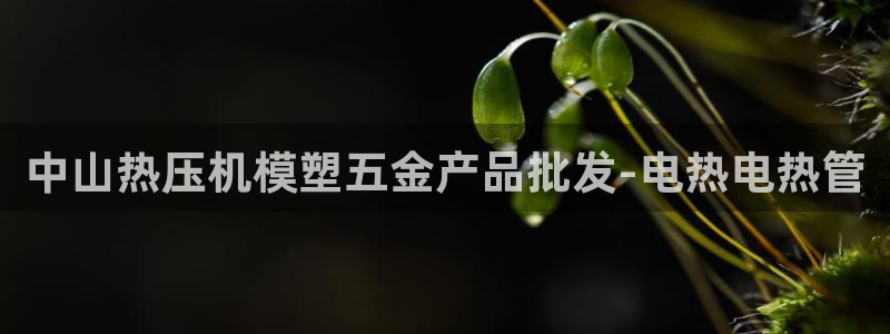 emc服务器是干啥的：中山热压机模塑五金产品批发-电热电