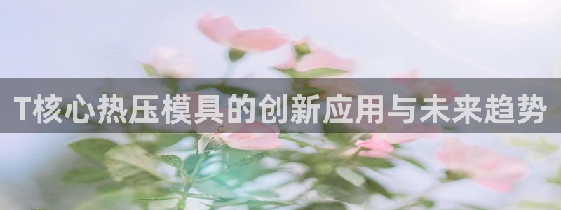 易倍下载地址：T核心热压模具的创新应用与未来趋势