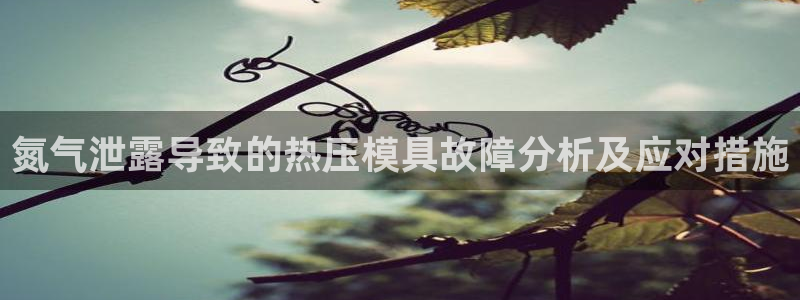 易倍app网站：氮气泄露导致的热压模具故障分析及应对措施