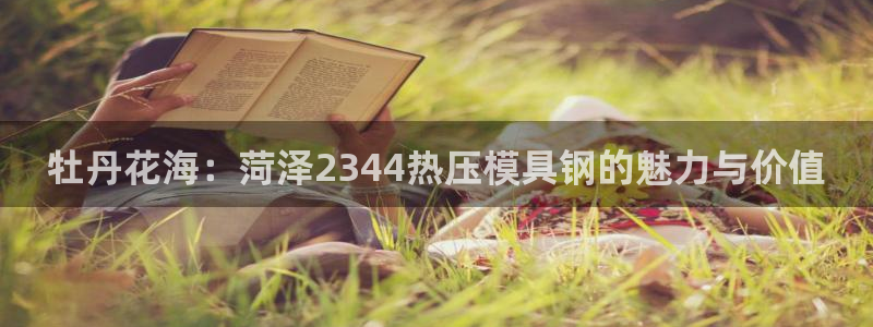 易倍达科技有限公司代运营：牡丹花海：菏泽2344热压模具