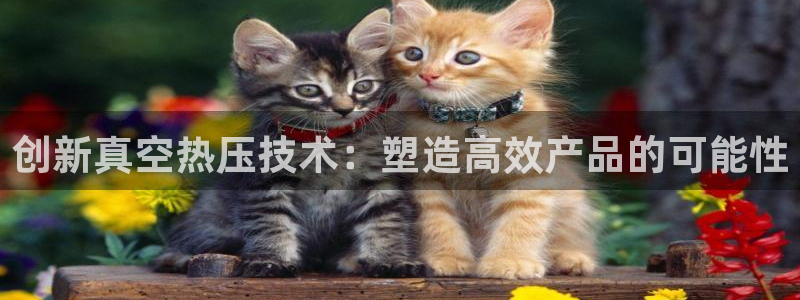 emc频率：创新真空热压技术：塑造高效产品的可能性