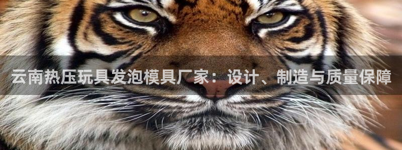 emc32软件使用说明：云南热压玩具发泡模具厂家：设计、