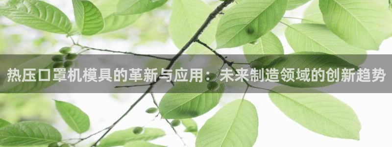 易倍申的副作用：热压口罩机模具的革新与应用：未来制造领域