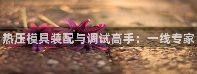 emc易倍官网：热压模具装配与调试高手：一线专家