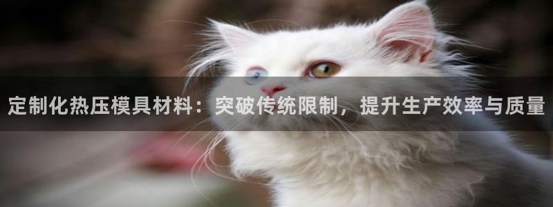 emc 倍频：定制化热压模具材料：突破传统限制，提升生产