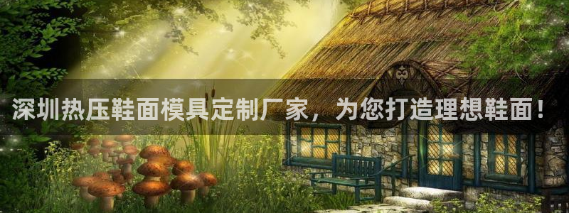 emc登录网站：深圳热压鞋面模具定制厂家，为您打造理想鞋