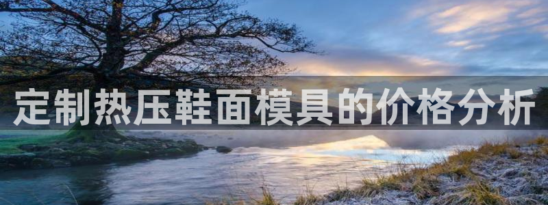 易倍网络技术有限公司是干嘛的：定制热压鞋面模具的价格分析