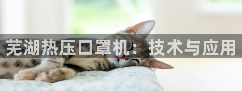 易倍申的副作用：芜湖热压口罩机：技术与应用