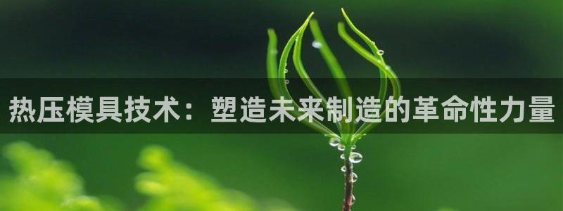 低频的emc用什么滤波：热压模具技术：塑造未来制造的革命