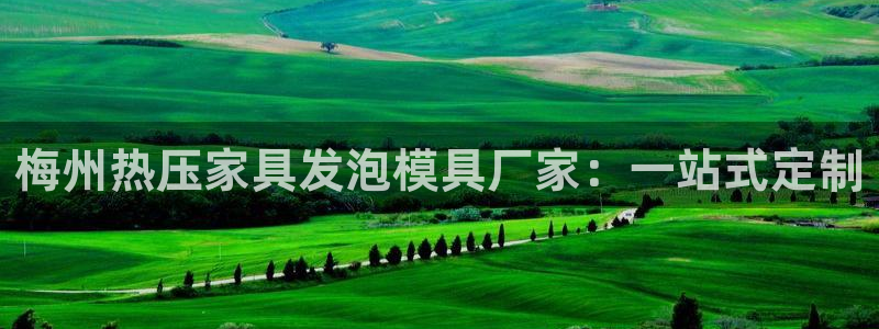 易倍下载手机版：梅州热压家具发泡模具厂家：一站式定制