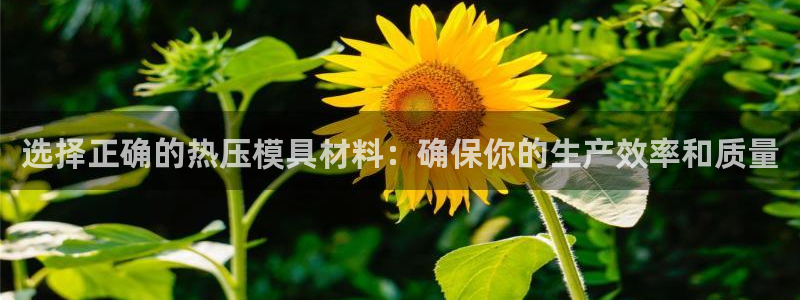 emc易倍：选择正确的热压模具材料：确保你的生产效率和质