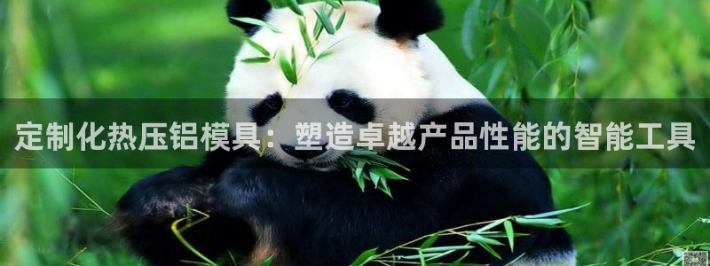 emc参数：定制化热压铝模具：塑造卓越产品性能的智能工具