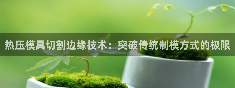 易倍下载手机版:热压模具切割边缘技术:突破传统制模方式的