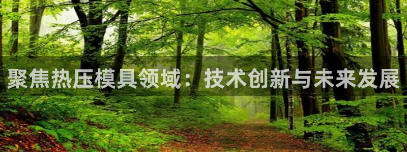 emc下载:聚焦热压模具领域:技术创新与未来发展