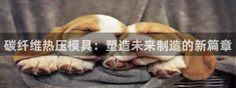 emc易倍官网首页进入：碳纤维热压模具：塑造未来制造的新