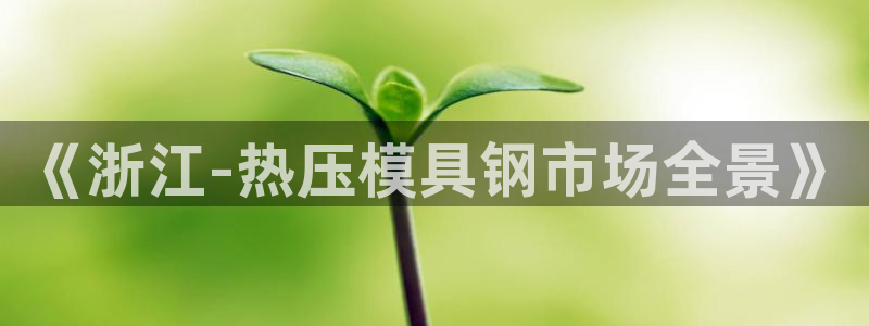 EMC倍频是什么意思：《浙江-热压模具钢市场全景》