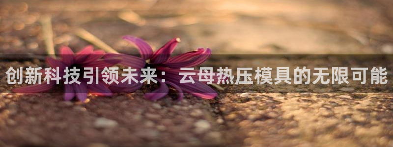 易倍网络技术有限公司是干嘛的：创新科技引领未来：云母热压