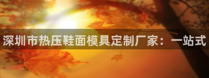 易倍网络技术有限公司是干嘛的：深圳市热压鞋面模具定制厂家