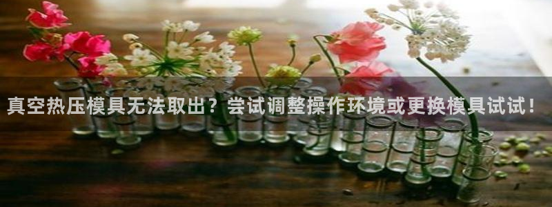 emc全站app下载