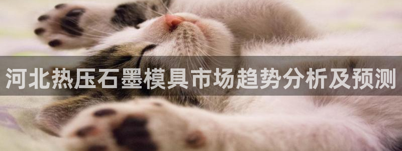 易倍下载手机版