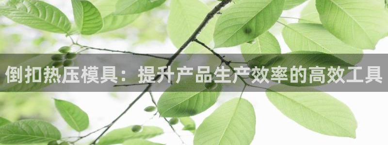 易倍达科技有限公司代运营:倒扣热压模具:提升产品生产效率