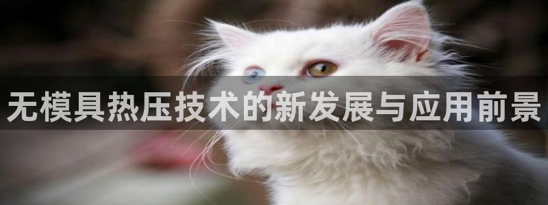 易倍emc网址网页版本登陆：无模具热压技术的新发展与应用