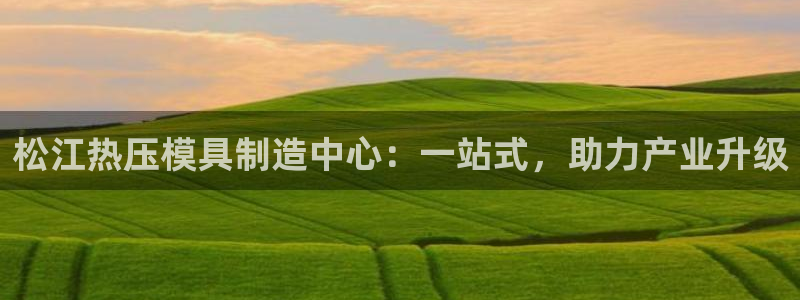 易倍单词官方网站下载:松江热压模具制造中心:一站式,助力