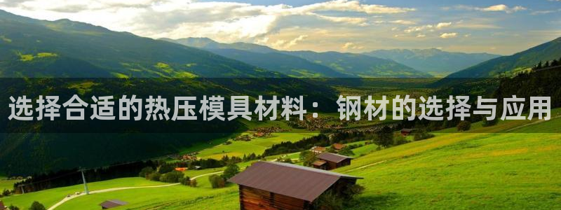 emc app下载：选择合适的热压模具材料：钢材的选择与