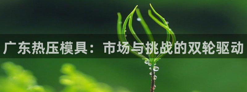 易倍emc网址