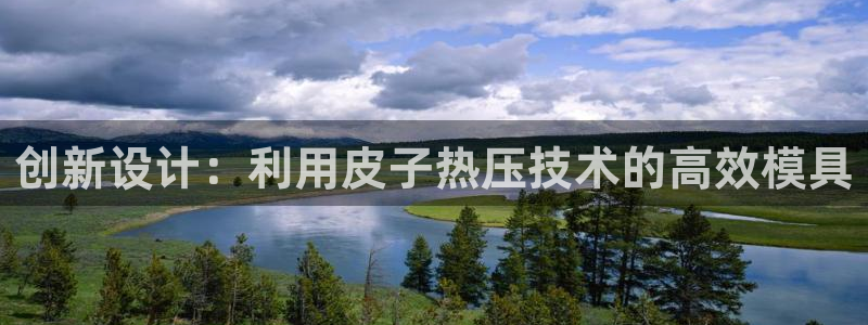 易倍申每盒价格是多少?：创新设计：利用皮子热压技术的高效