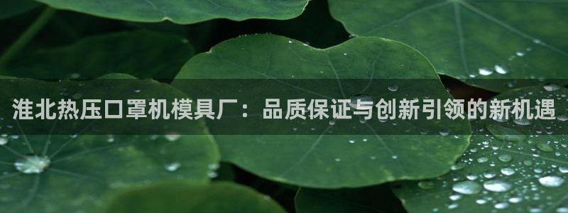 易倍单词官方网站下载安卓：淮北热压口罩机模具厂：品质保证