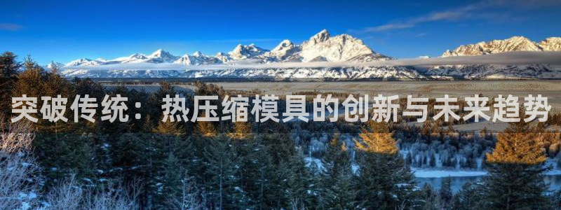 易倍emc全站:突破传统:热压缩模具的创新与未来趋势