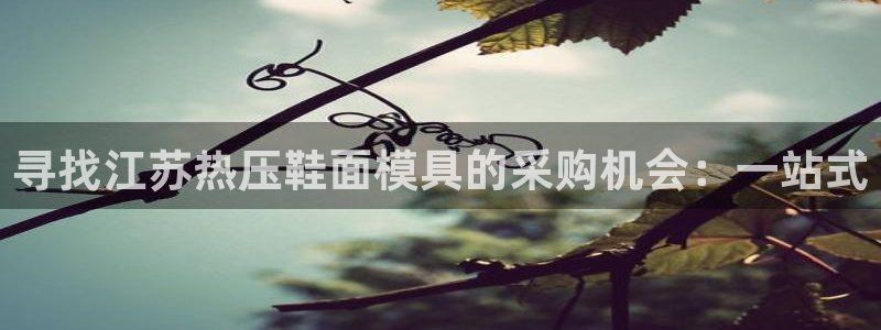 易倍电竞安装教程：寻找江苏热压鞋面模具的采购机会：一站式